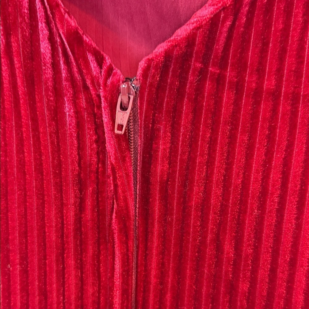 Unique Vintage Merlot Striped Velvet Fit and Flare Dress - Picture 7 of 7